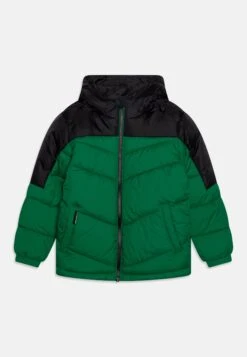 Vingino Totos - Winterjas - Glade Green