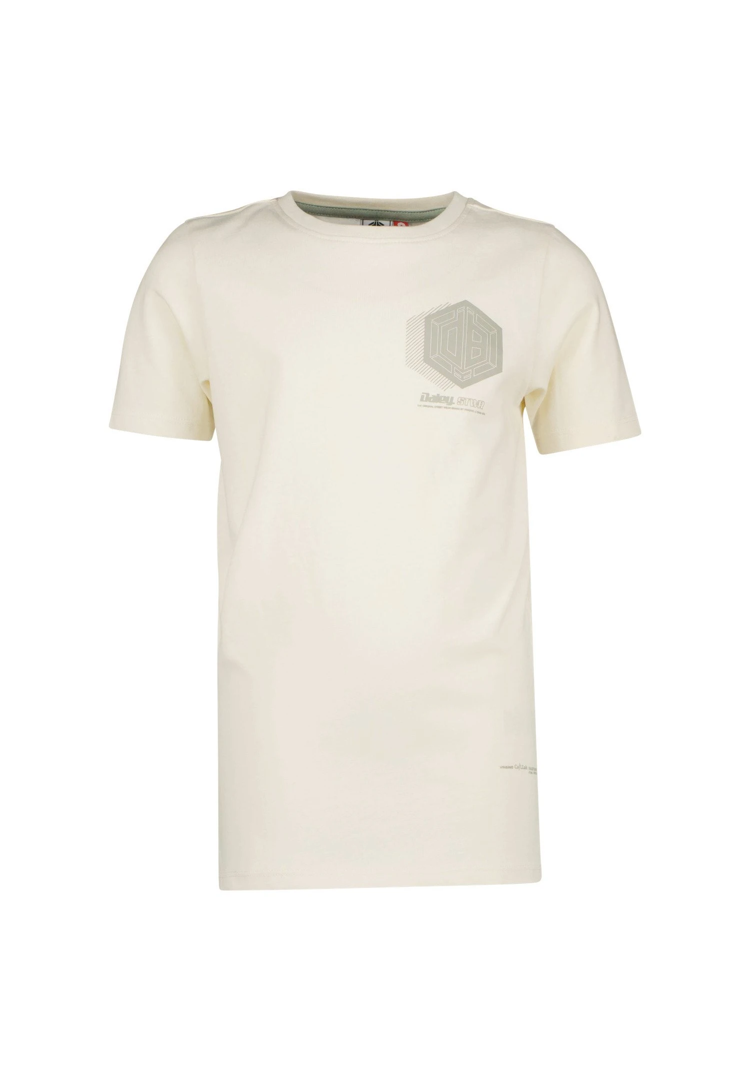 Vingino Haruki- T-Shirt Print - Salt White 2 Vingino Haruki- T-Shirt Print - Salt White - Afbeelding 2