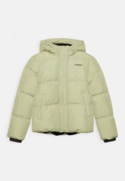 Vingino Trana - Winterjas - Gray Green