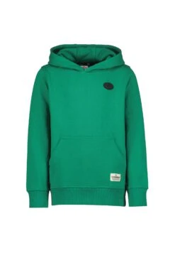 Vingino Murfo- Hoodie - Beach Green