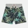 Vingino Realo - Shorts - Beach Green
