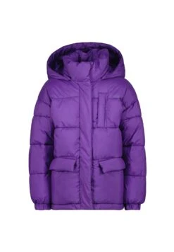 Vingino Toenja Stone - Winterjas - Purple
