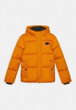 Vingino Tainos - Winterjas - Gold Honey