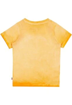 Vingino Hector Hector - T-Shirt Print - Summer Orange 9 Vingino Hector Hector - T-Shirt Print - Summer Orange -Vingino ed9d41ea32c04772be239f461aa59bde