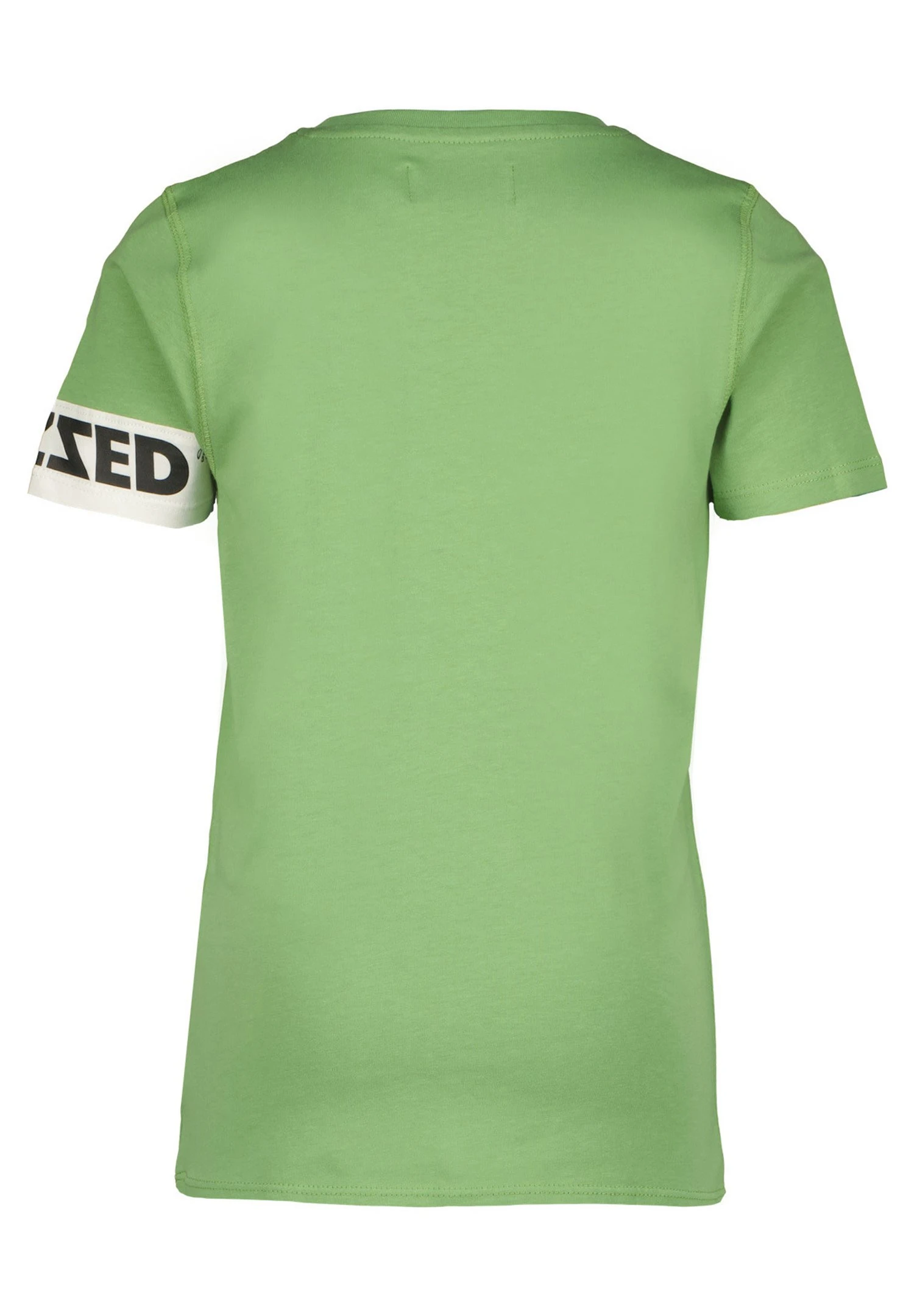 Vingino Raizzed Scottdale Retro - T-Shirt Print - Green 3 Vingino Raizzed Scottdale Retro - T-Shirt Print - Green - Afbeelding 3